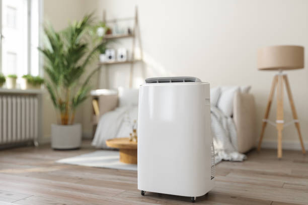 Best VRF (Variable Refrigerant Flow) Systems in Blue Earth, MN